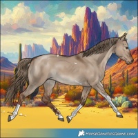 Horse Color:Liver Red Dun Tobiano 