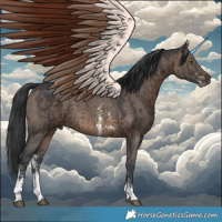 Horse Color:Brown Dun Sabino Brindle 