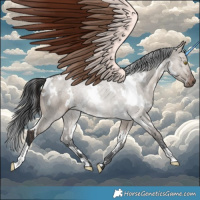 Horse Color:White Spotted Brown Dun