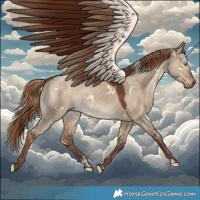 Horse Color:White Spotted Liver Red Dun