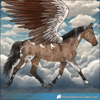 Horse Color:White Spotted Liver Red Dun Brindle