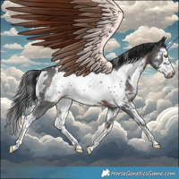 Horse Color:White Spotted Brown Sabino Frame 