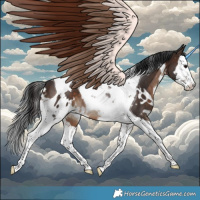 Horse Color:White Spotted Brown Splash Tobiano 