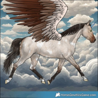 Horse Color:White Spotted Liver Red Dun Roan