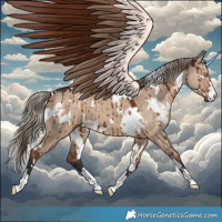 Horse Color:White Spotted Liver Red Dun Brindle