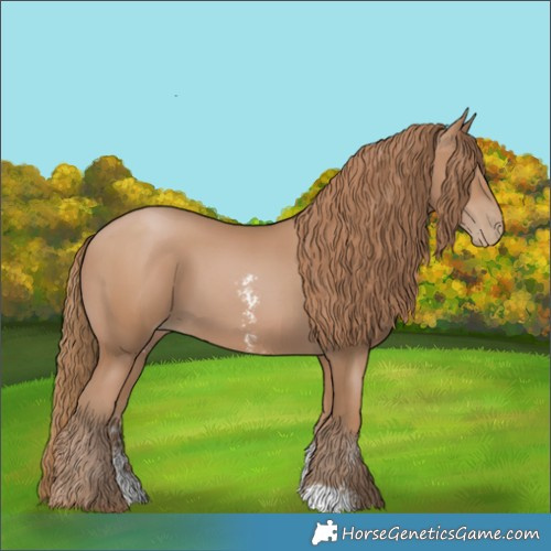 Horse Color:Black Pearl Sabino