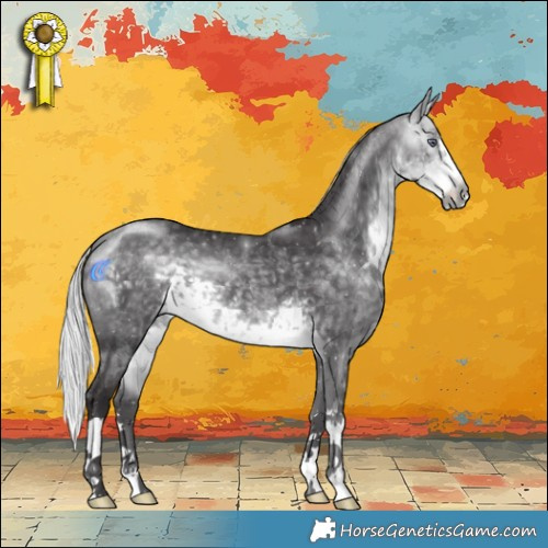 Horse Color:Silver Buckskin Chinchilla 