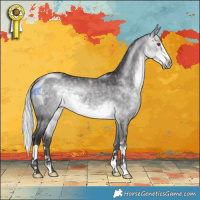 Horse Color:Silver Buckskin Chinchilla 
