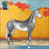 Horse Color:Silver Buckskin Chinchilla 