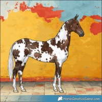 Horse Color:White Spotted Silver Black Ice 