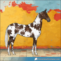 Horse Color:White Spotted Silver Black Ice 
