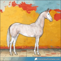 Horse Color:Silver Bay Roan Splash Rabicano 
