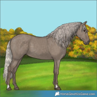 Horse Color:Silver Grullo 