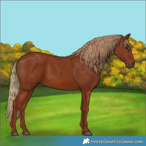 Horse Color:Chestnut 