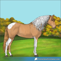 Horse Color:Chestnut Tobiano 