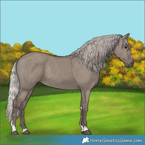Horse Color:Silver Grullo