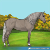 Horse Color:Silver Grullo 