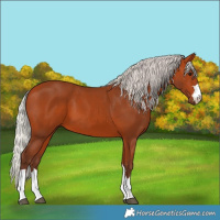 Horse Color:Silver Bay 