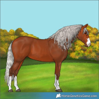 Horse Color:Silver Bay 