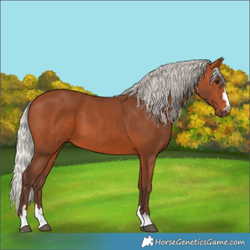 Horse Color:Silver Bay
