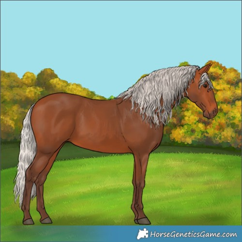 Horse Color:Silver Bay 