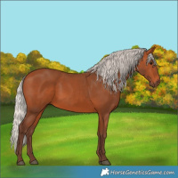 Horse Color:Silver Bay