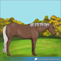 Horse Color:Silver Black