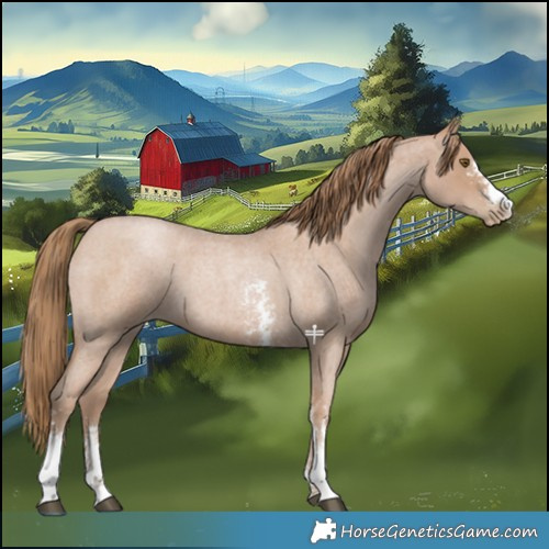 Horse Color:Blue Roan Pearl Sabino 