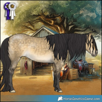 Horse Color:Buckskin Dun 