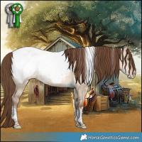 Horse Color:White Spotted Brown Snowdrop Pearl Dun Tobiano Snowcap Rabicano 