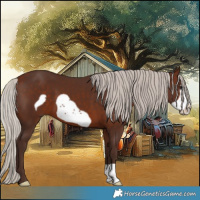 Horse Color:Silver Brown Frame 