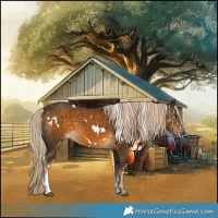 Horse Color:White Spotted Chocolate Palomino Tobiano 