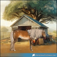 Horse Color:White Spotted Chocolate Palomino 