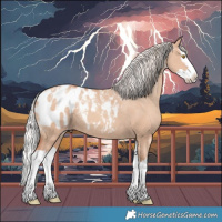 Horse Color:Powder White Silver Classic Champagne Dun Splash Appaloosa 