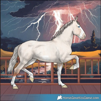 Horse Color:Silver Sable Champagne Roan Dun Splash Frame Appaloosa 