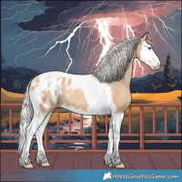 Horse Color:Silver Sable Champagne Dun Splash Tobiano Blanket 