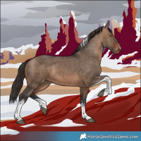 Horse Color:Brown Dun Sabino Tobiano Appaloosa 