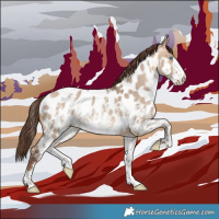 Horse Color:Sable Champagne Dun Sabino Appaloosa 