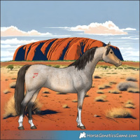 Horse Color:Buckskin Roan Tobiano