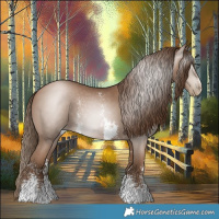 Horse Color:Gray Black Pearl Sabino 