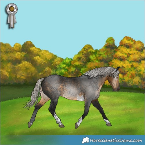 Horse Color:Gray Silver Buckskin Tobiano 