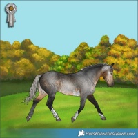 Horse Color:Gray Silver Buckskin Tobiano 