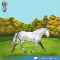 Horse Color:Gray Silver Buckskin Tobiano 