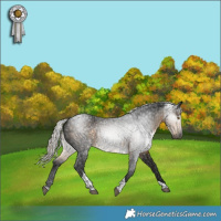 Horse Color:Gray Silver Buckskin Tobiano 