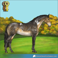 Horse Color:White Spotted Buckskin Rabicano 