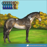 Horse Color:White Spotted Buckskin Rabicano 