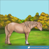 Horse Color:Chestnut Pearl Sabino 