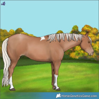 Horse Color:Silver Black Pearl Tobiano 