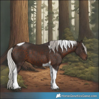 Horse Color:Silver Brown Tobiano 