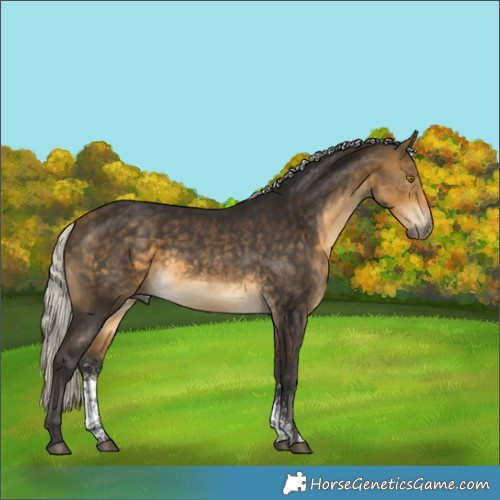 Horse Color:Silver Buckskin Sabino Rabicano 